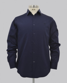 Core Regular Fit Shirt