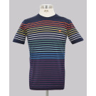 Multi-Stripe Crew Neck T-Shirt