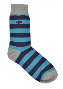 Blue/Navy Broad Stripe Socks